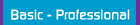 basic - professional web design