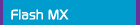 flash 5 actionscript