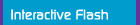 interactive flash web design